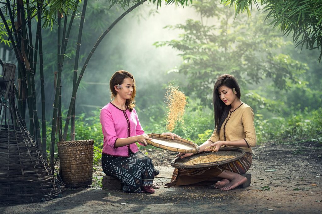 image showing women working on harvesting skills in order to self improve themselves