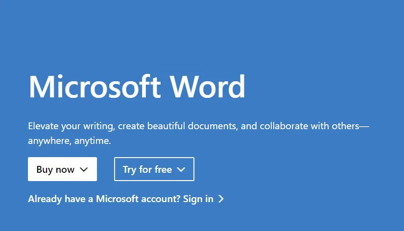 ms word