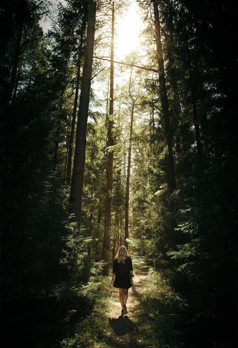 journey with my nature