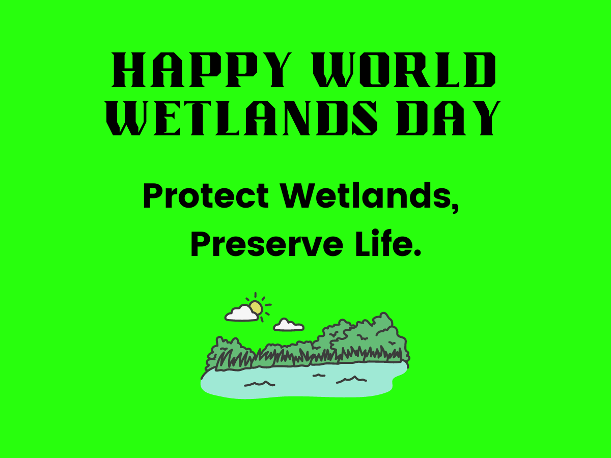 world wetlands day