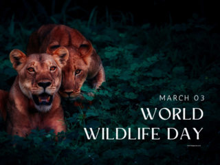 world wildlife day