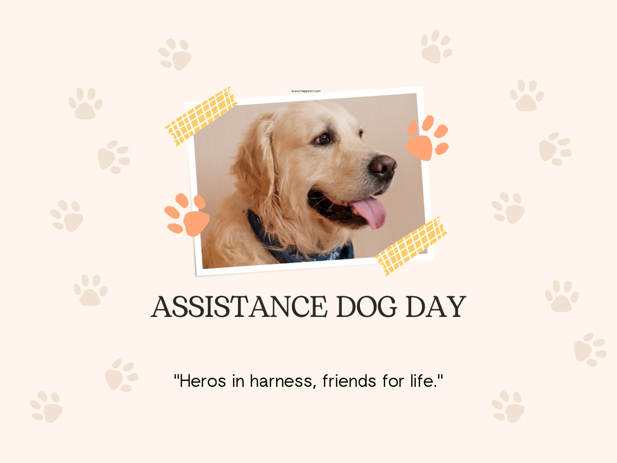 Assistance Dog Day